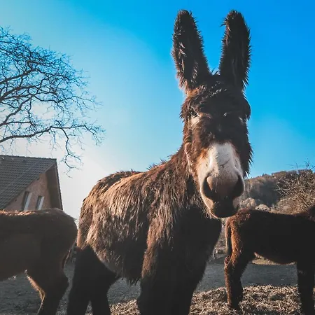 Otakarova Farma 公寓 *