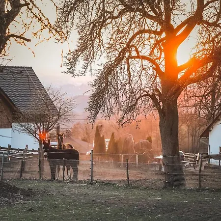 Otakarova Farma 公寓 Tatobity