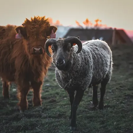 Otakarova Farma 公寓 *