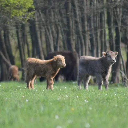 公寓 Otakarova Farma