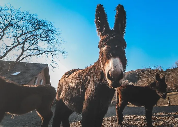 Otakarova Farma Lägenhet *