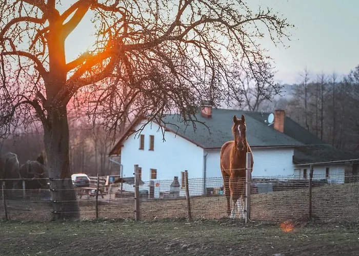 Otakarova Farma Lägenhet *