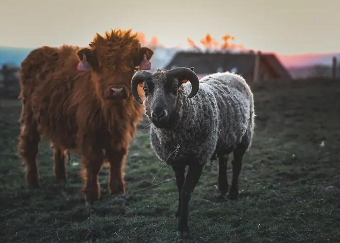 Otakarova Farma Lägenhet *