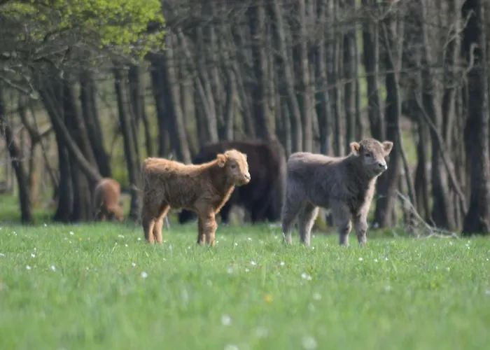 Lägenhet Otakarova Farma