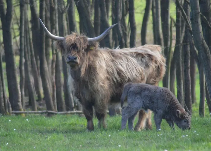 Otakarova Farma Lägenhet Tatobity